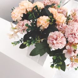 -莱可美科技美肤