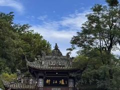 -都江堰中华大熊猫苑