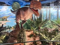 -陕西自然博物馆