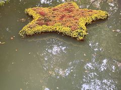 -汇龙潭