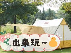 -上海美帆帆船露营基地