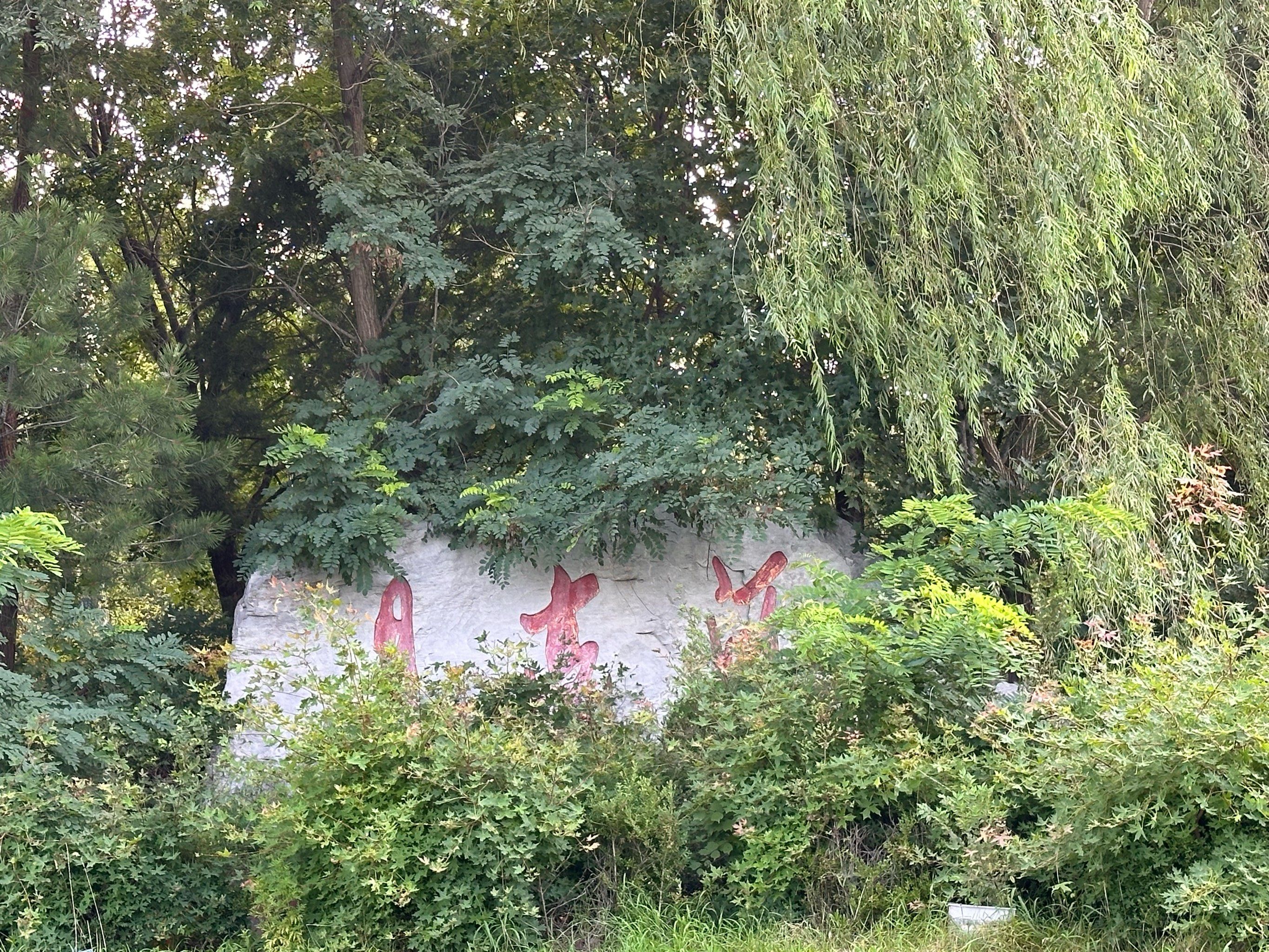 点评正当玩

正当玩,夏日出行之月亮河公园