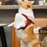 Infica Coffee 不仅咖啡好喝蛋糕好吃，氛围超棒
