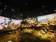 -武汉园博园(武汉自然博物馆)