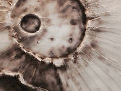 -FULL MOON满月咖啡
