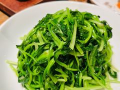 -宁波柏悦酒店·钱湖渔港