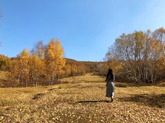 -木兰围场