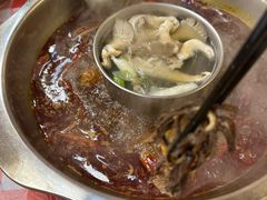 -金鼎雪山牦牛杂火锅(理县总店)