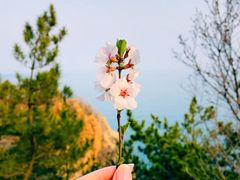 -燕窝岭