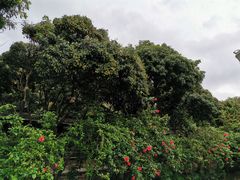 -荔景渔庄