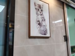 -半岛宠物医院24小时·内窥镜·牙科·碎石中心(府城大道店)