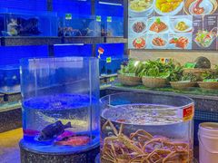 -名苑皇宫酒家(来魅力壁画村店)