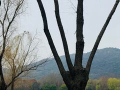 -长广溪湿地公园