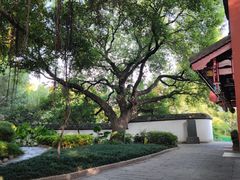 -乌山风景区