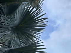 -三亚太阳湾柏悦酒店