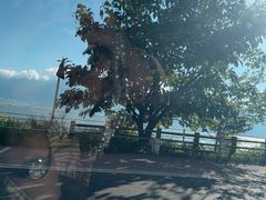 -大理洱海