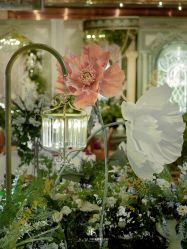 -红丝高端婚礼中心(旗舰店)