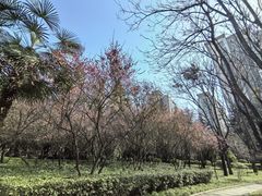 -木塔寺遗址生态公园