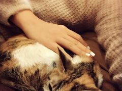 -看书吧(体育东横路店)