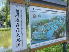 -荷花大观园