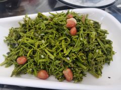 -京北渔家傲