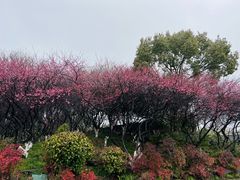 -新荣记(西溪湿地店)