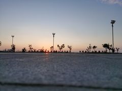 -东港音乐喷泉广场