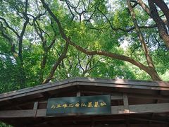 -马王堆汉墓遗址