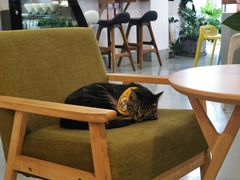 大堂-唐咖精品咖啡(大理古城手冲店)