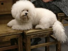 -重庆老火锅王(西安北路店)