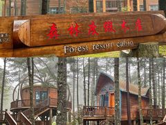 -洛阳白云山景区