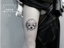 -刺客纹画纹身·洗纹身·穿孔饰品