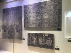 -白鹤梁水下博物馆
