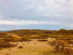 -塞罕坝国家级自然保护区