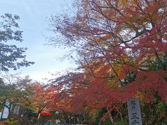 -三千院