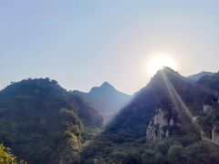 -大岭沟猕猴桃谷风景区