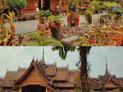 -西双版纳傣族园