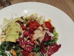 蔬菜沙拉-连鹭海鲜·海肠捞饭·海胆饭(星海店)