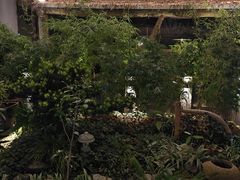 -山壹竹庭院餐厅