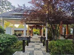 -深业半汤御泉庄温泉
