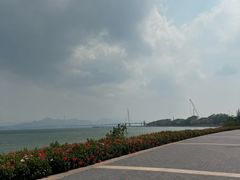 -深圳湾公园(南山区)