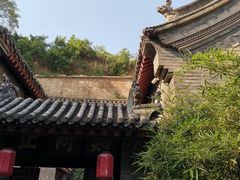 -康百万庄园