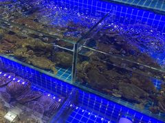 -大东海海鲜酒楼(渔人码头总店)