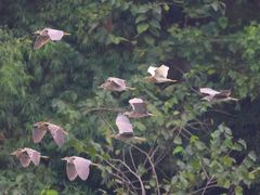 -重庆彩云湖湿地公园