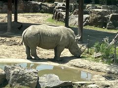 -上海野生动物园