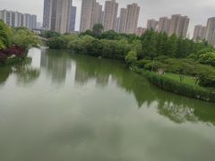 -青枫公园
