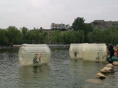 -莲湖公园