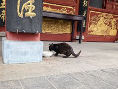 -长春观