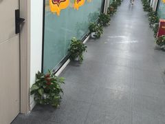 -CGWANG王氏教育(上海校区)
