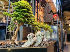 -湊湊火锅·茶憩(东城万达店)
